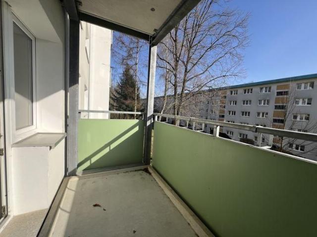 Frisch sanierte Erdgeschosswohnung mit Balkon direkt am Stadtpark für Naturliebhaber