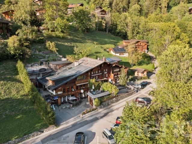 Mietimmobilie in Rossinière