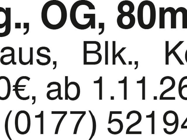 3 Zi. Whg in OG