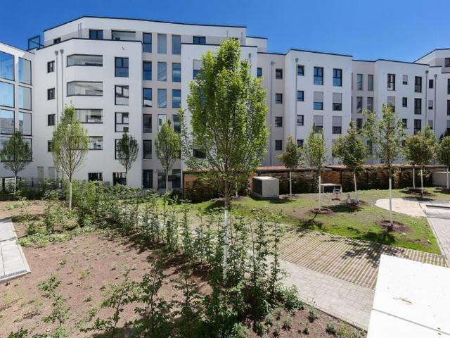 Mietwohnung in Hanau Gut geschnittene 2 Zimmer Wohnung in zentraler Lage