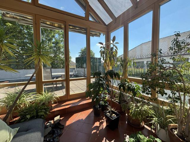 Mietwohnung mit genialer Dachterrasse und Wintergarten