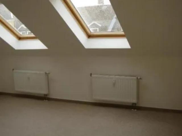 Mietwohnungen ✓ 260 € Kaltmiete ✓ 60 m² Wohnfläche ⌖ 08527 Plauen, Antonstraße 28