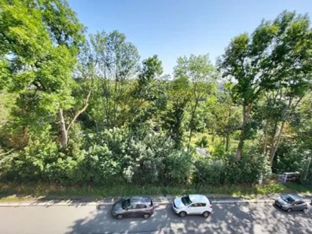 Mietwohnungen ✓ 365 € Kaltmiete netto ✓ 75 m² Wohnfläche ⌖ 08499 Mylau