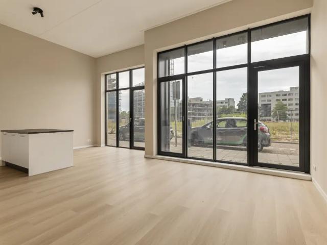 Mies van der Rohestraat 239