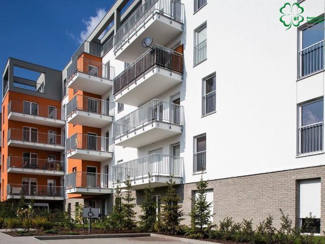 Mieszkania – mieszkanie Poznań wynajem 2400.00 PLN – Nieruchomości REJ