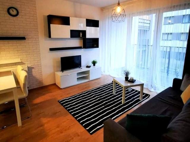 Mieszkanie m2 z aneksem kuchennym 40 m² na wynajem Poznań