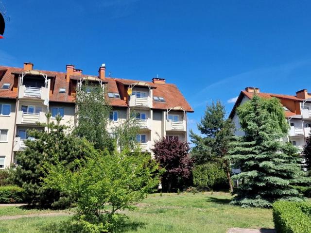 Mieszkanie m2 z aneksem kuchennym 45,60 m² na wynajem ul. Ponińskiego, Inowrocław, Solno