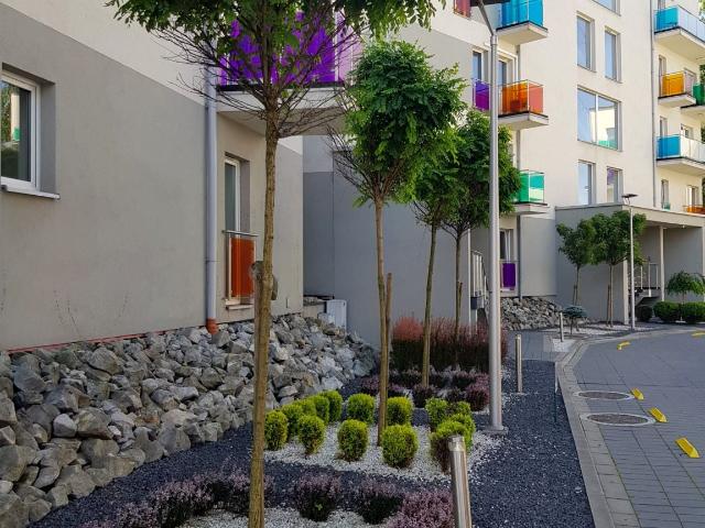 Mieszkanie m2 z aneksem kuchennym 46 m² na wynajem Bielsko Biała