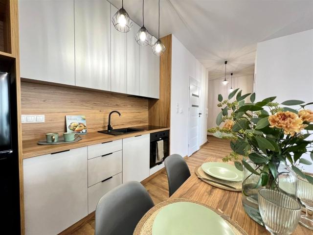 Mieszkanie m2 z aneksem kuchennym 47,71 m² na wynajem Sosnowiec, Kolonia Pekin