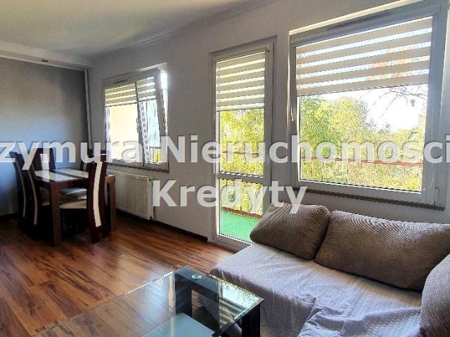 Mieszkanie m2 z kuchnią w zabudowie 47 m² na wynajem Rybnik, Niedobczyce
