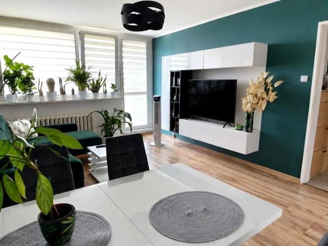 Mieszkanie m2 z kuchnią z oknem 43,63 m² na wynajem Gliwice