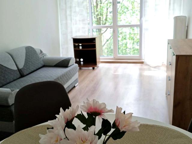 Mieszkanie m2 z kuchnią z oknem 43 m² na wynajem ul. Umińskiego, Łódź, Chojny Dąbrowa
