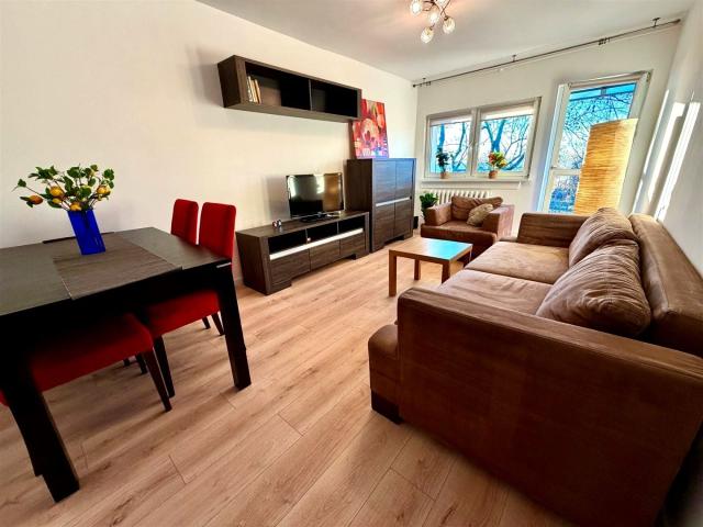Mieszkanie m2 z kuchnią z oknem 45,13 m² na wynajem Łódź