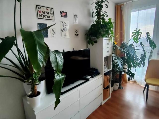 Mieszkanie m2 z oddzielną kuchnią 38 m² na wynajem Opole, Chabry