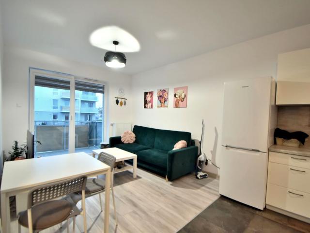Mieszkanie m2 40 m² przy lesie na wynajem ul. Kasztanowa, Borkowo