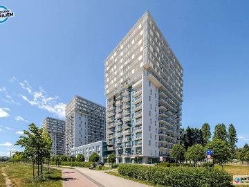 Mieszkanie m3 z aneksem kuchennym 75 m² na wynajem Gdańsk, Przymorze