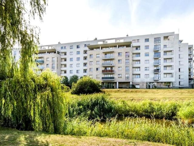 Mieszkanie m3 z aneksem kuchennym 75 m² na wynajem Warszawa, Sadyba