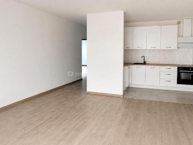 Mieszkanie m3 z aneksem kuchennym 79,52 m² na wynajem ul. Senatorska, Skierniewice