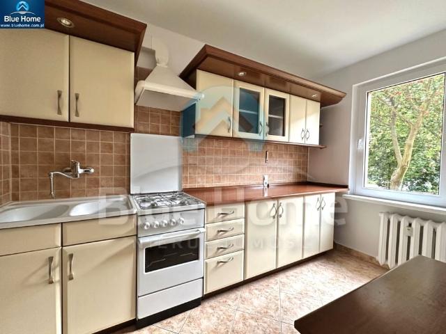 Mieszkanie m3 z oddzielną kuchnią 53 m² na wynajem ul. Parkowa, Leszno, Nowe Miasto