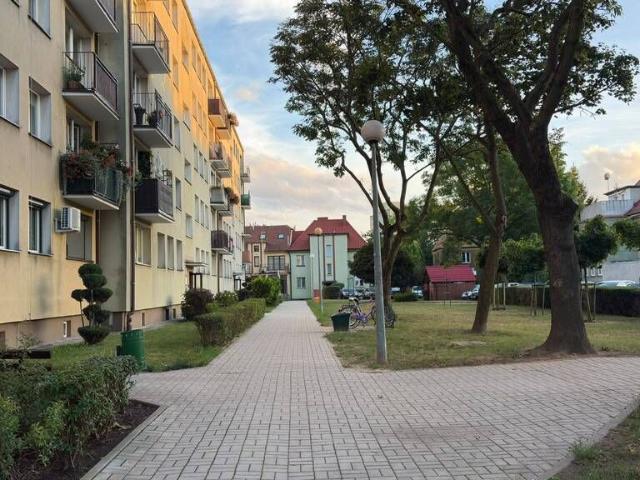 Mieszkanie na sprzedaż 3 pokoje Głogów, 46,80 m2, 2 piętro