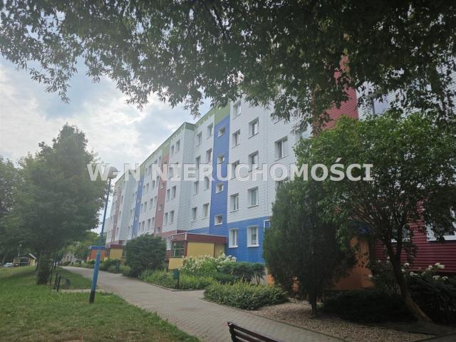 Mieszkanie na sprzedaż 3 pokoje Głogów, 50,20 m2, 1 piętro