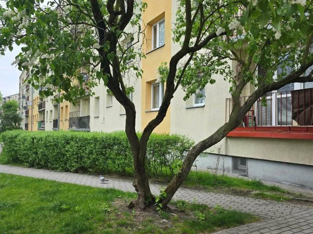 Mieszkanie na sprzedaż 3 pokoje Zduńska Wola, 55,95 m2, parter