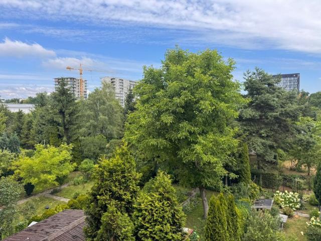 Mieszkanie na sprzedaż, Katowice, Koszutka, Słoneczna