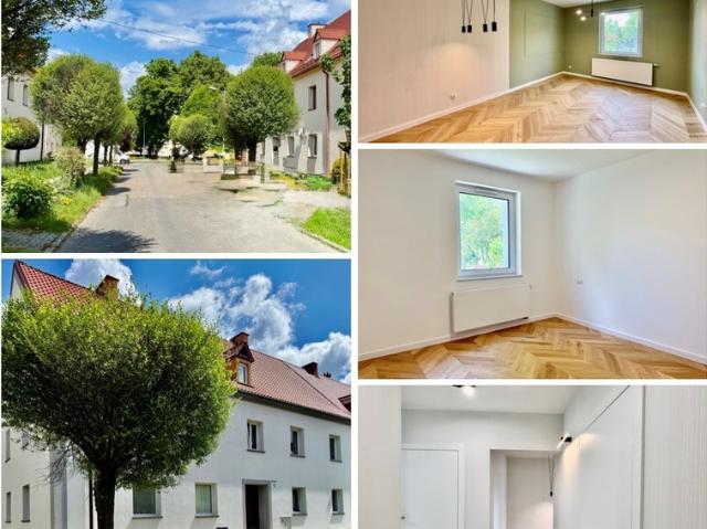 Mieszkanie na sprzedaż, Mendelejewa