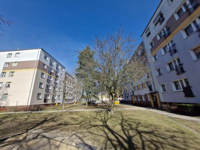 Mieszkanie na sprzedaż, Poznań, Grunwald, Pogodna