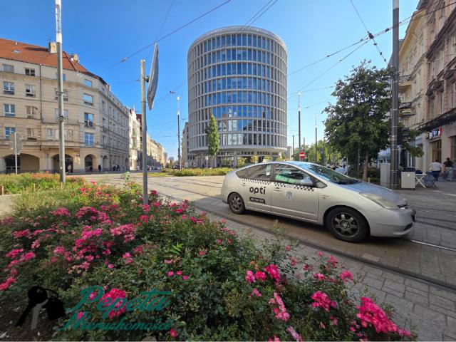 Mieszkanie na sprzedaż, Poznań, Stare Miasto, Gwarna