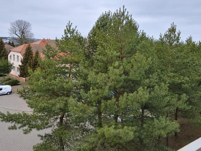 Mieszkanie na sprzedaż, Radosna
