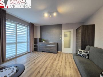 Świebodzice, Powiat świdnicki, Województwo dolnośląskie, Województwo dolnośląskie