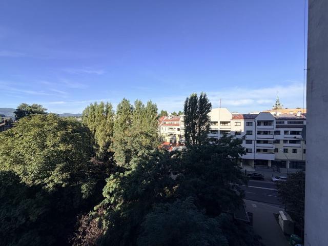 Mieszkanie na wynajem, Bielsko Biała, Dmowskiego