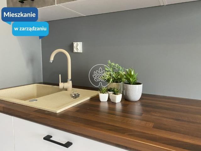 Mieszkanie na wynajem, Bydgoszcz, Bocianowo Śródmieście Stare Miasto, Warmińskiego