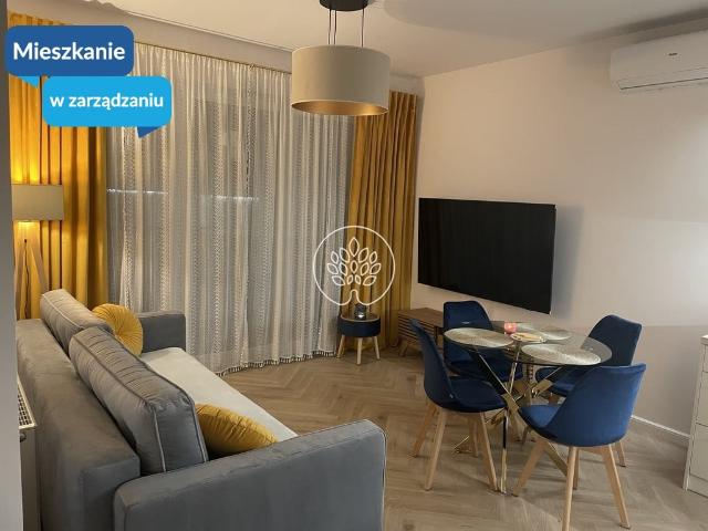 Mieszkanie na wynajem, Bydgoszcz, Bocianowo Śródmieście Stare Miasto, Królowej Jadwigi