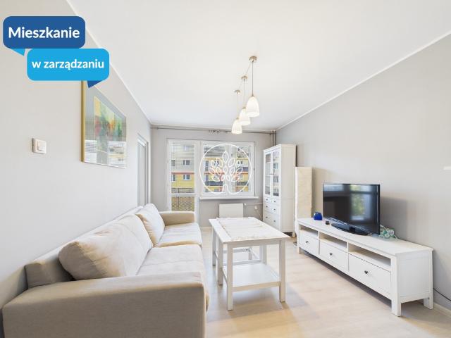 Mieszkanie na wynajem, Bydgoszcz, Dmowskiego