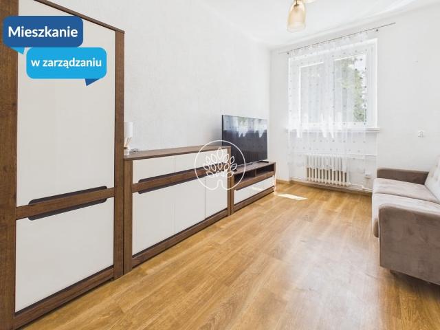 Mieszkanie na wynajem, Bydgoszcz, Kapuściska