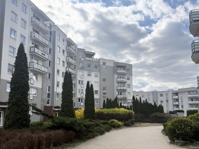 Mieszkanie na wynajem, Bydgoszcz, Wyżyny