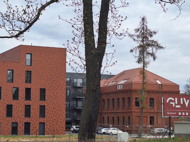 Mieszkanie na wynajem, Gliwice, Śródmieście, Daszyńskiego