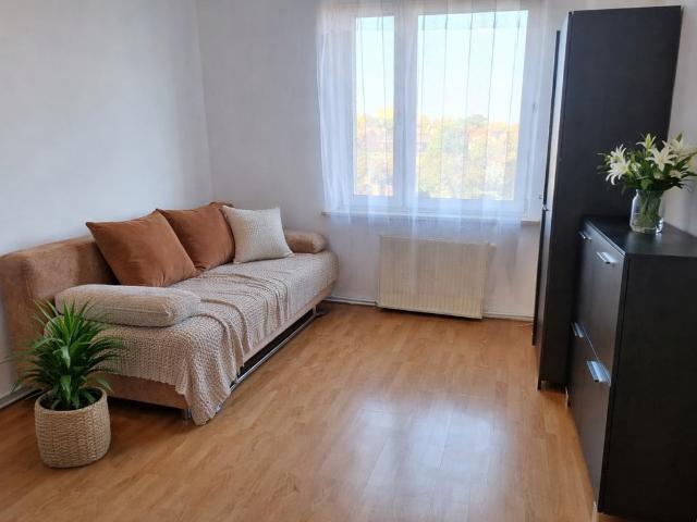 Mieszkanie na wynajem, Gliwice, Śródmieście, Rybnicka