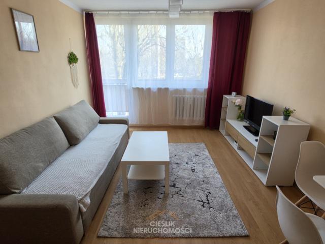 Mieszkanie na wynajem, Dąbrowa Górnicza, Kościuszki