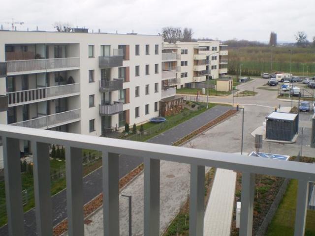 Mieszkanie na wynajem, Domeyki