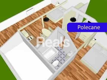Piastów, Powiat pruszkowski, Województwo mazowieckie