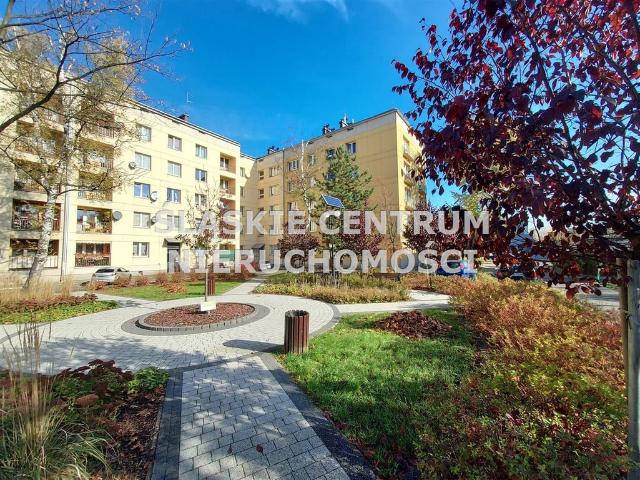 Mieszkanie na wynajem, Katowice, Ligota, Zielonogórska
