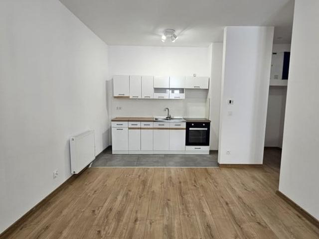Mieszkanie na wynajem, Katowice, Śródmieście, Kochanowskiego