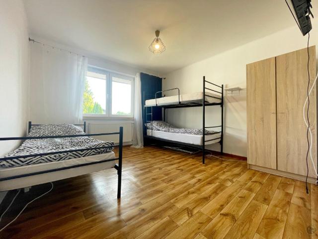 Mieszkanie na wynajem, Klonowa
