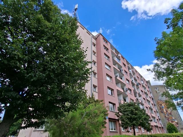 Mieszkanie na wynajem Łódź Śródmieście PFT MW 4432 49.00m² ABLitwinska