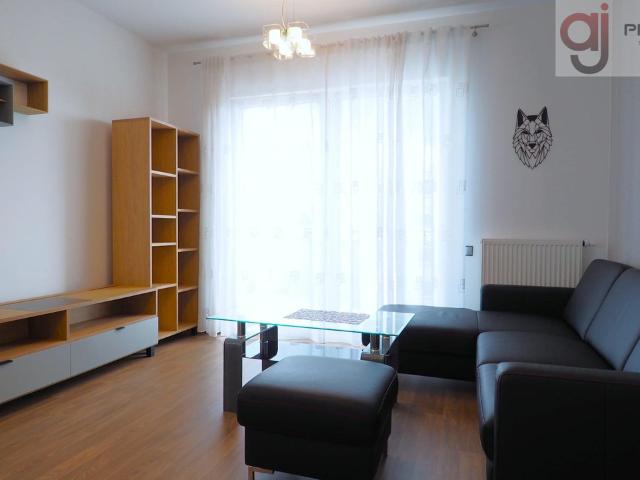 Mieszkanie na wynajem, Łódź, Widzew, Przybyszewskiego
