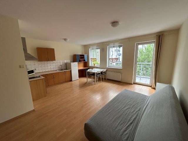 Mieszkanie na wynajem, Poznań, 33.00 m2