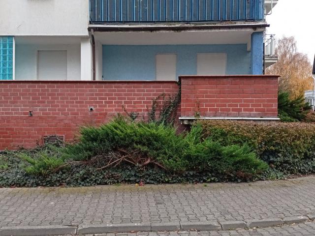 Mieszkanie na wynajem, Poznań